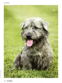 Das Futterhaus Prospekt Seite 22