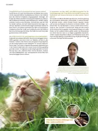 Das Futterhaus Prospekt Seite 28