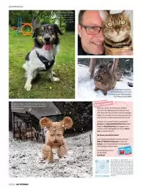 Das Futterhaus Prospekt Seite 32