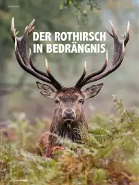 Das Futterhaus Prospekt Seite 36