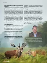 Das Futterhaus Prospekt Seite 38