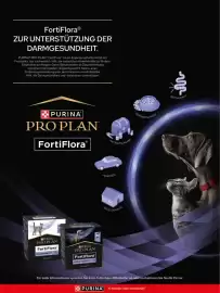 Das Futterhaus Prospekt Seite 39