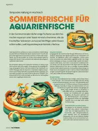 Das Futterhaus Prospekt Seite 40