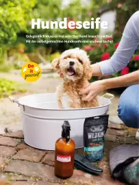 Das Futterhaus Prospekt Seite 42