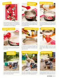 Das Futterhaus Prospekt Seite 43