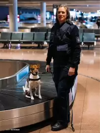 Das Futterhaus Prospekt Seite 8