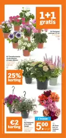 AH XL folder week 16 Pagina 32