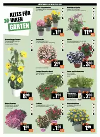 V Baumarkt Prospekt woche 16 Seite 2