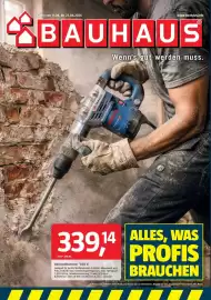 Bauhaus Prospekt Seite 1