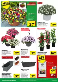 Hagebau Prospekt woche 15 Seite 2