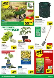 Hagebau Prospekt woche 15 Seite 4