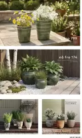 Skeidar kundeavis Side 35