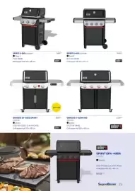 Supra Bazar folder Pagina 33