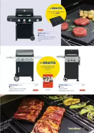 Supra Bazar folder Pagina 35