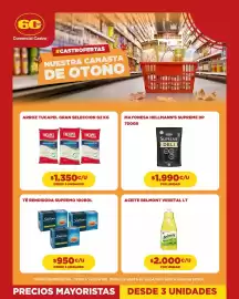 Catálogo Comercial Castro Página 3