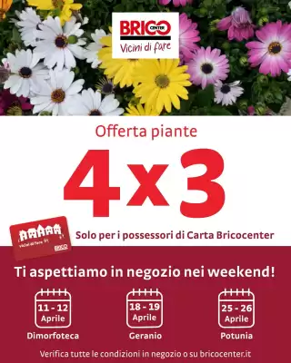 Bricocenter (valido fino al 26-04)