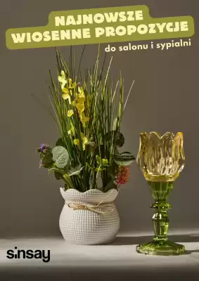 Sinsay gazetka (ważność do 14-05)