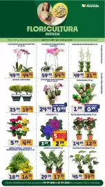 Catálogo Supermercados Avenida semana 15 Página 1