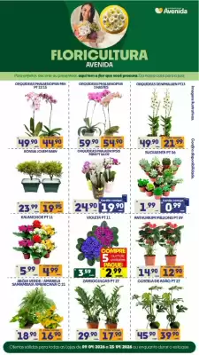 Avenida (válido até 15-04)