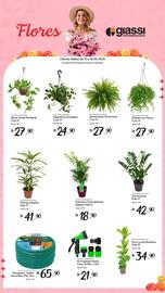 Encarte Giassi Supermercados semana 15 Página 2