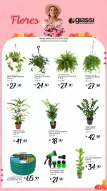 Encarte Giassi Supermercados semana 15 Página 2