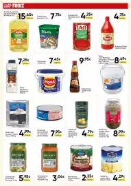 Folleto FROIZ Página 12