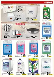 Folleto FROIZ Página 13