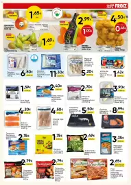 Folleto FROIZ Página 9