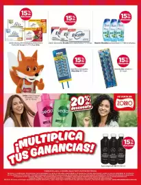 Catálogo Zorro Página 12