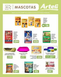 Folleto Arteli Página 3