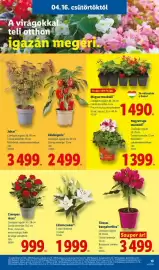 Lidl akciós újság hét 16 Oldal 13