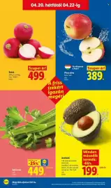 Lidl akciós újság hét 16 Oldal 46