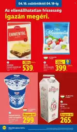 Lidl akciós újság hét 16 Oldal 6