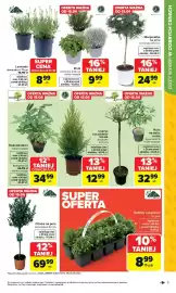 Carrefour gazetka Strona 9