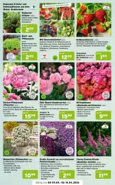 Salzburger Lagerhaus Flugblatt Seite 2