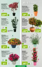 Salzburger Lagerhaus Flugblatt Seite 3