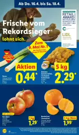 Lidl Prospekt Seite 62