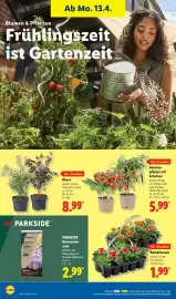 Lidl Prospekt Seite 68