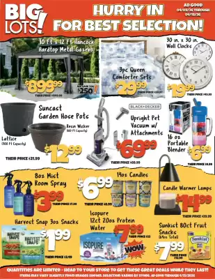 Big Lots (valid until 15-04)