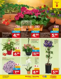Netto Marken-Discount DE folder week 16 Pagina 11