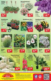 Zimmermann Prospekt woche 16 Seite 10