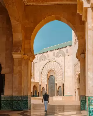 Mundo Joven (válido hasta 17-04)