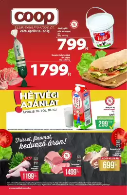 Coop (érvényes eddig: 22-04)