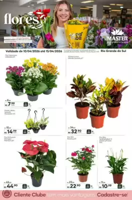 Master (válido até 15-04)