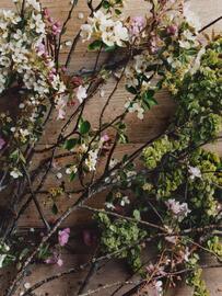 Catálogo Zara Home Página 4