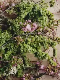 Catálogo Zara Home Página 2