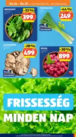 ALDI akciós újság hét 16 Oldal 9