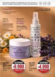 Catálogo Amodil Página 13