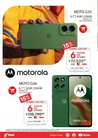 Revista Fava Página 10