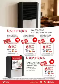 Revista Fava Página 22